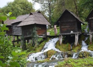 The Ottoman Succession Law and the Fate of Royal Brothers