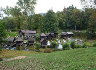 The Turning Point of the Vision